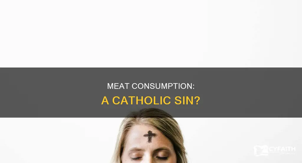 is eating meat a catholic sin