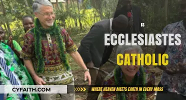 Is Ecclesiastes Catholic? Exploring Its Place in Christian Tradition