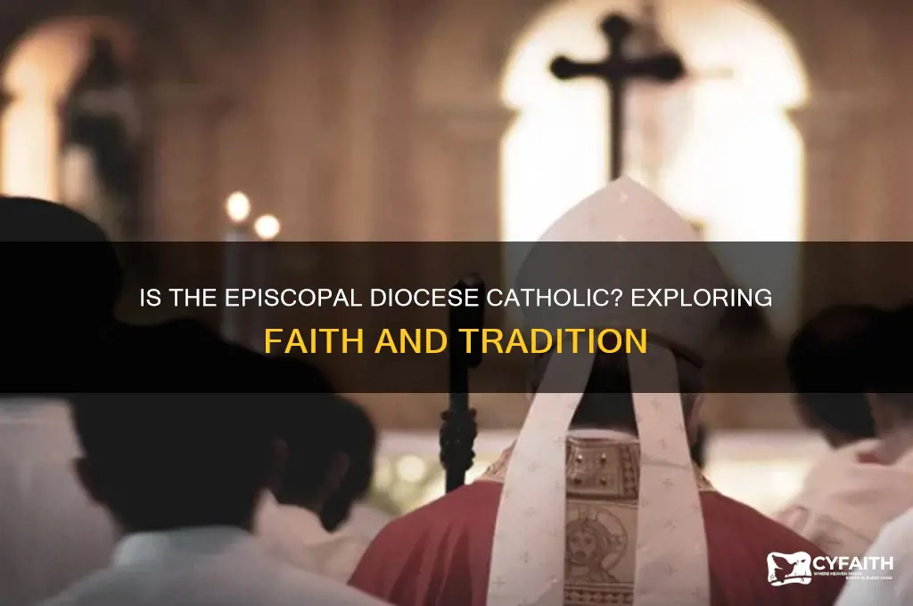 is episcopal diocese catholic