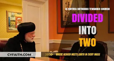 Is Eritrea's Orthodox Tewahido Church Split into Two Factions?