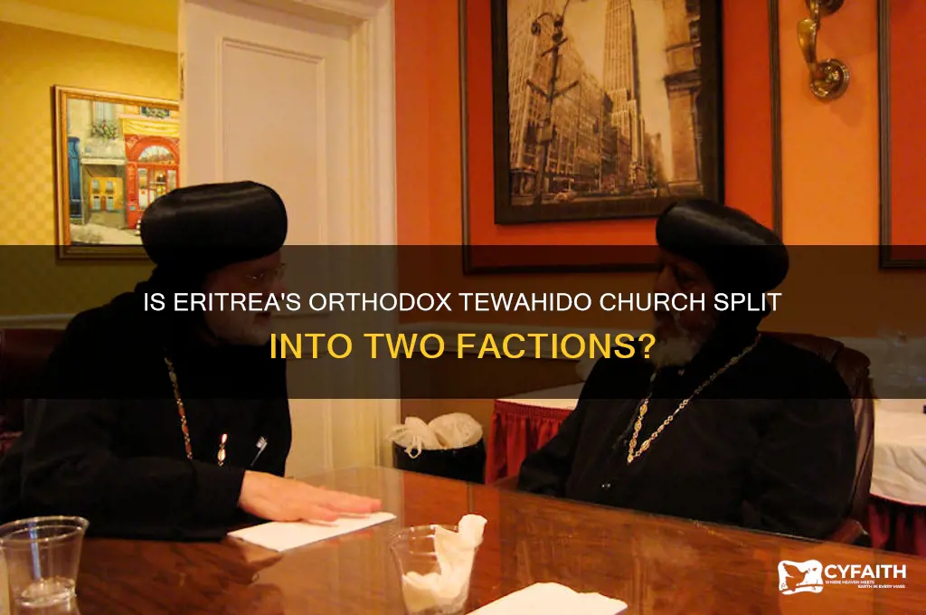 is eritrea orthodox tewahido church divided into two