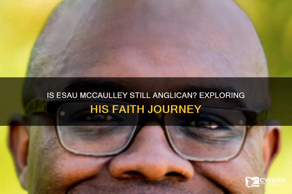 is esau mccaulley still anglican