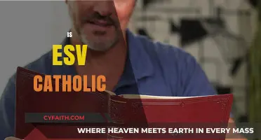 Is the ESV Translation Suitable for Catholic Bible Study?