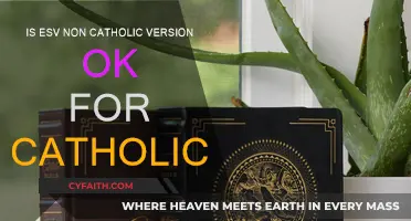 ESV Bible: Approved for Catholic Readers?