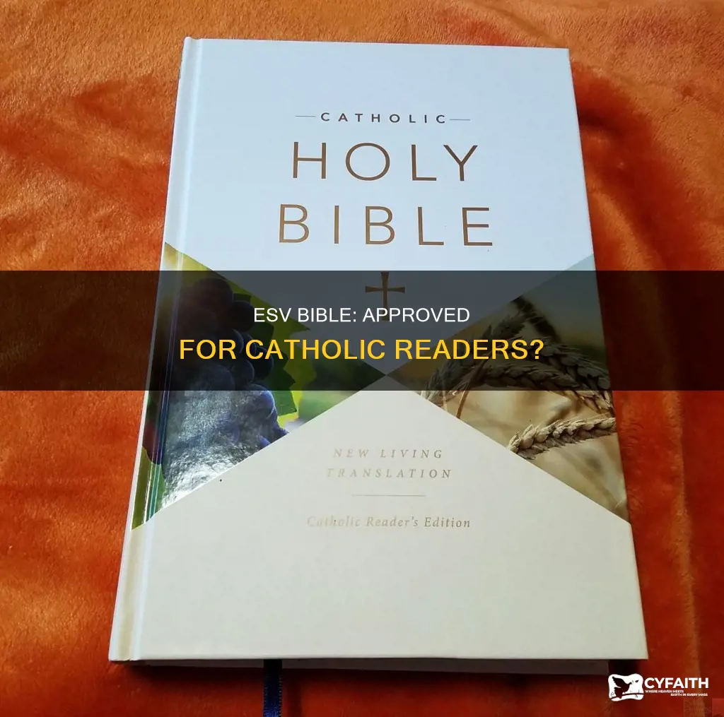 is esv non catholic version ok for catholics
