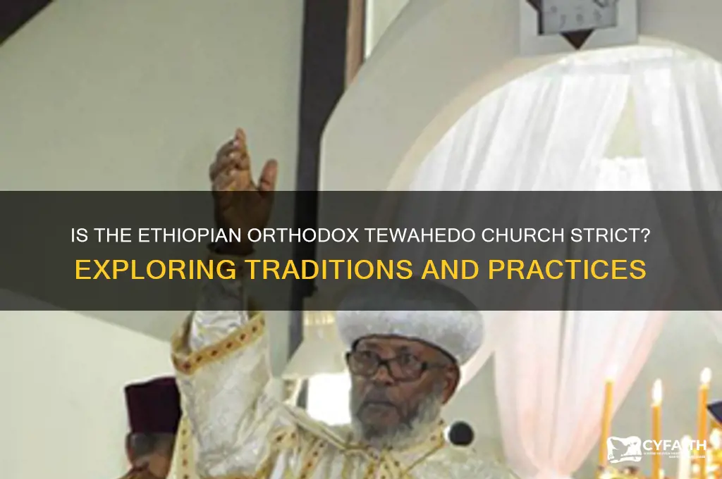 is ethiopian orthodox tewahedo church stricy