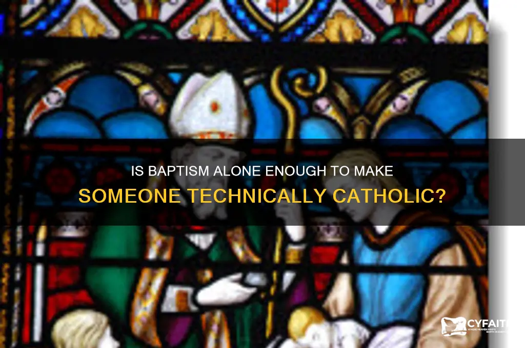 is everyone baptized tecnhincally catholic