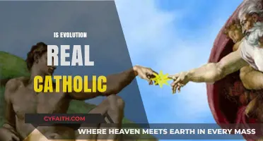 Is Evolution Real? Catholic Perspectives on Faith and Science