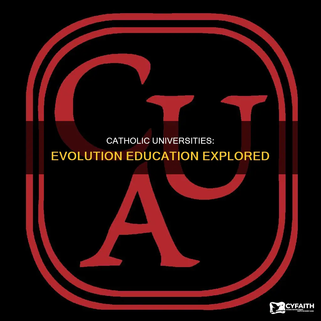is evolution taught at catholic universities