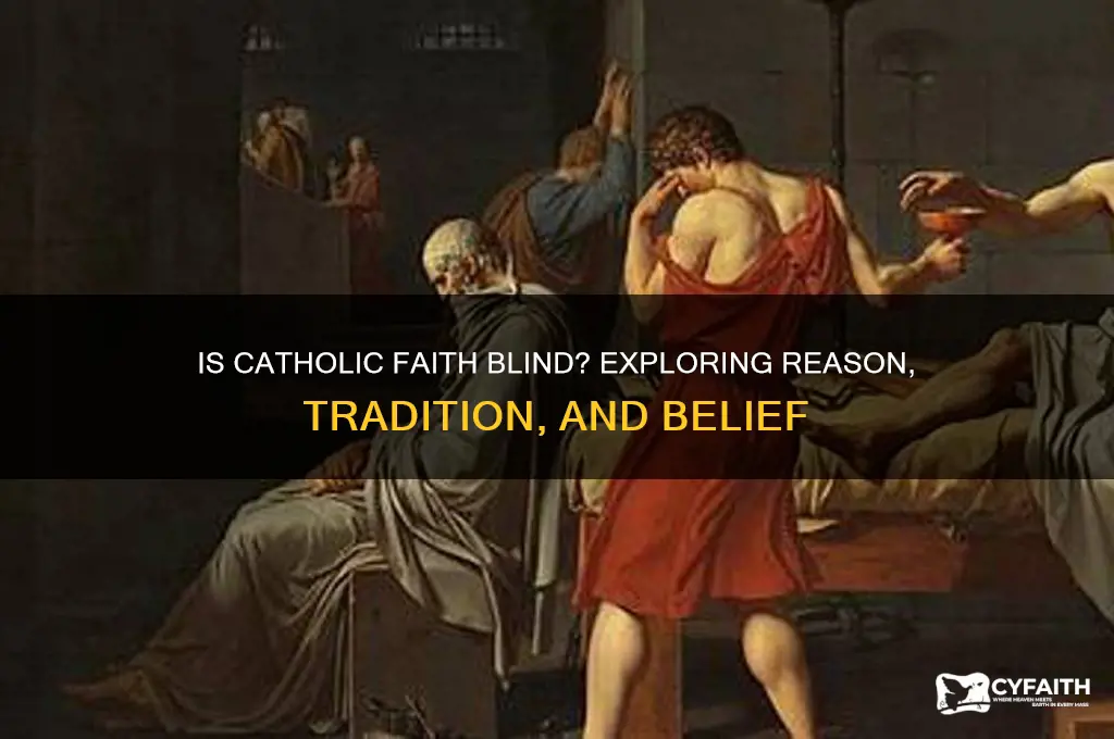 is faith blind catholic