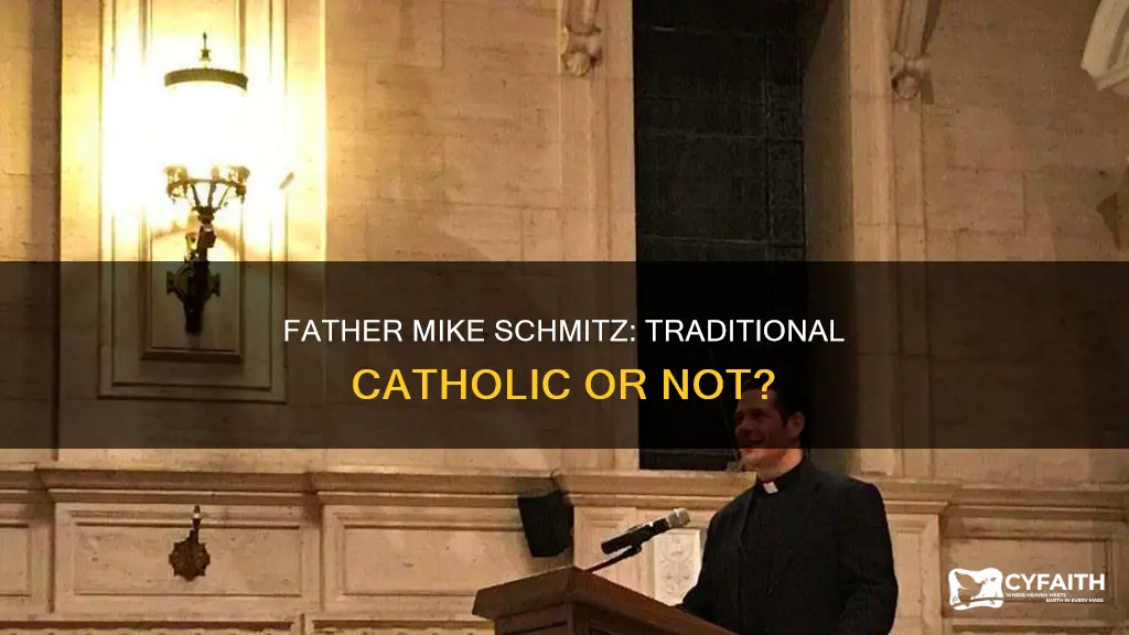 is father mike schmitz a traditional catholic