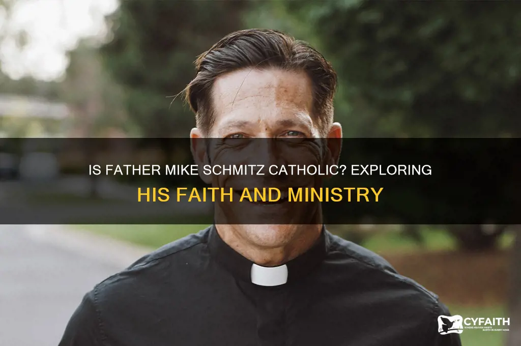 is father mike schmitz catholic