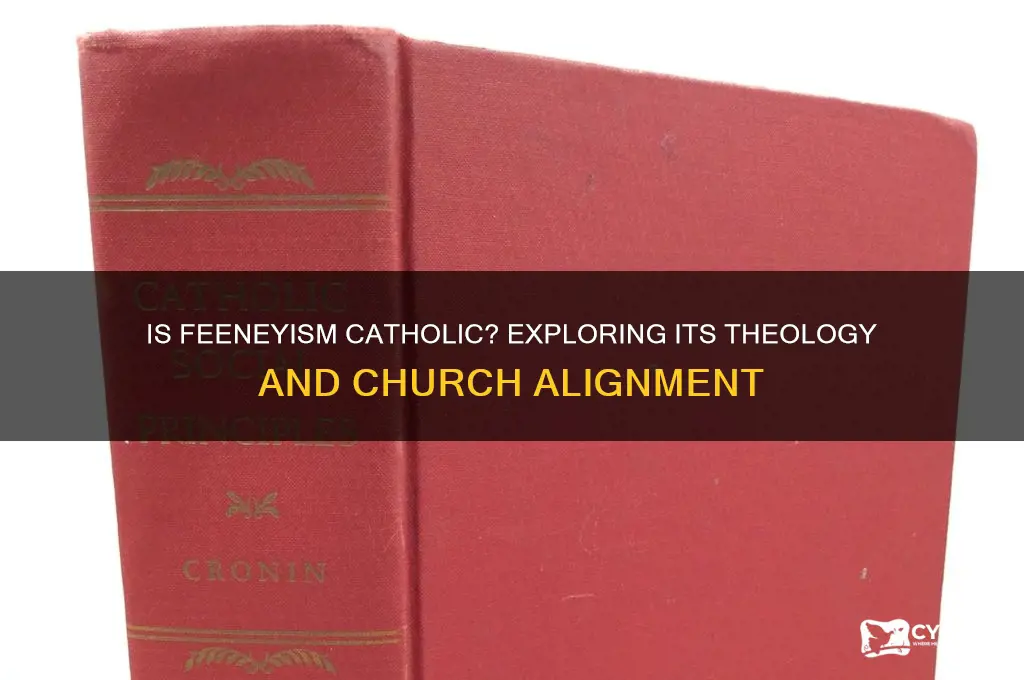 is feeneyism catholic