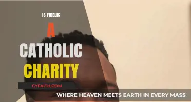 Is Fidelis a Catholic Charity? Exploring Its Faith-Based Mission and Work