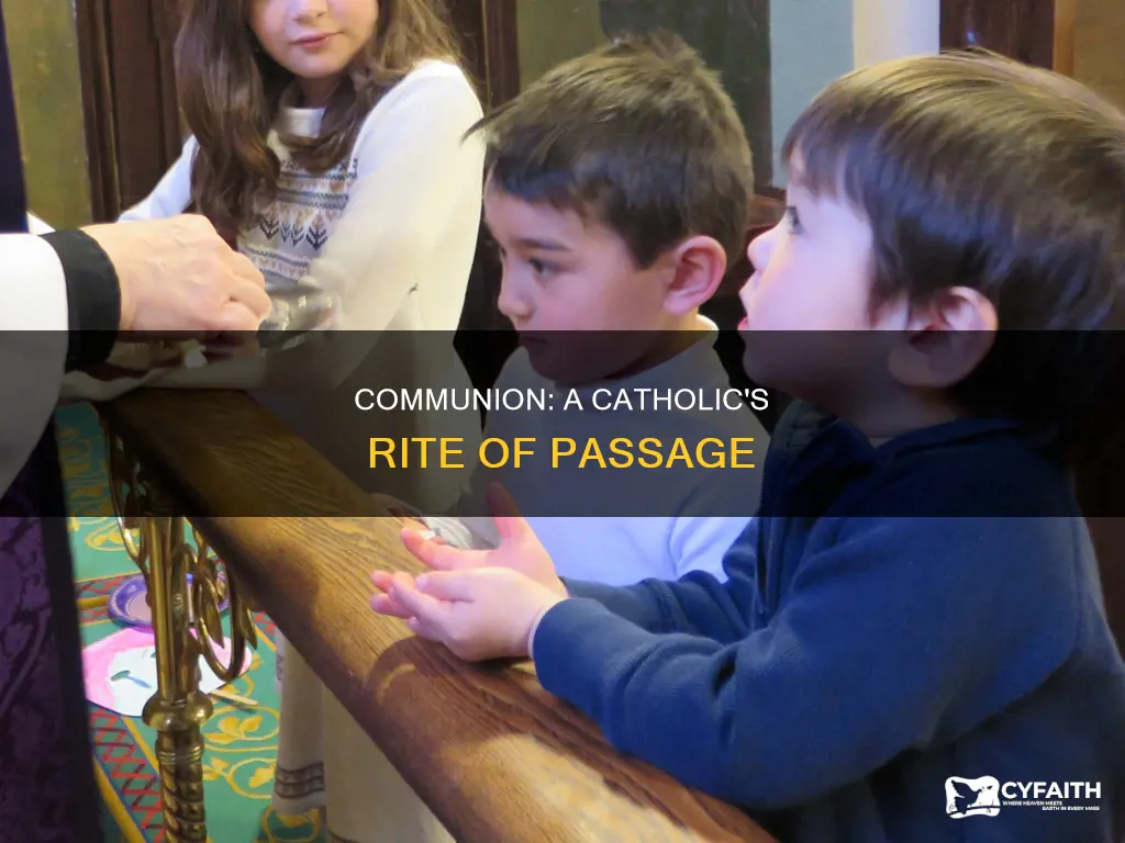 is first communion important to become a catholic