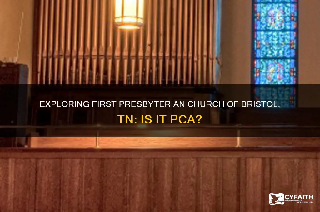 is first presbyterian church of bristol tn pca