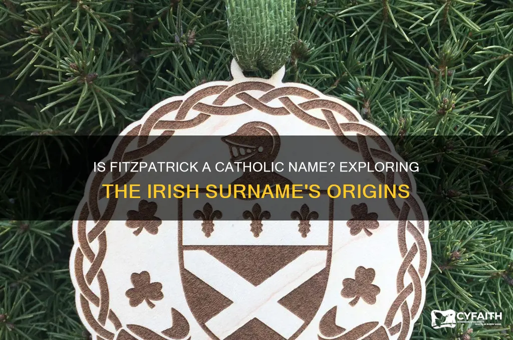 is fitzpatrick a catholic name