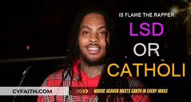 Flame's Artistic Expression: LSD or Catholic Influence?