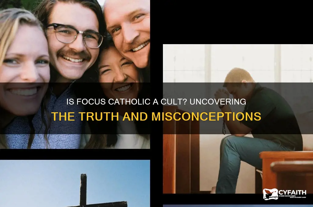 is focus catholic a cult