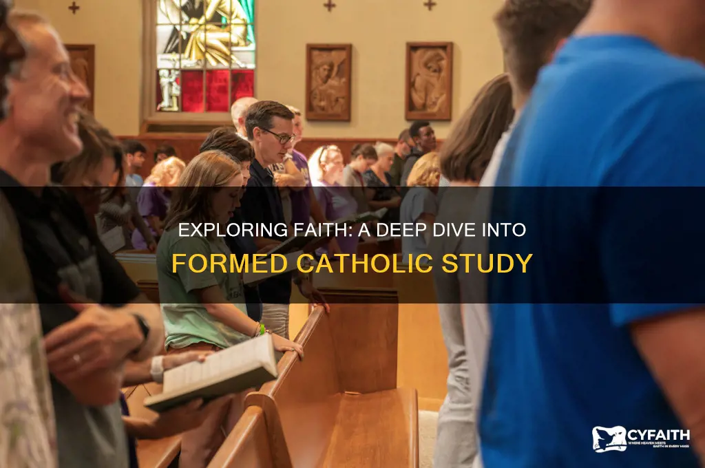 is formed catholic study