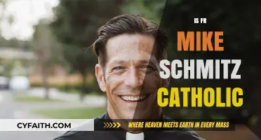 Is Fr. Mike Schmitz Catholic? Exploring His Faith and Ministry