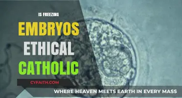 Freezing Embryos: Catholic Ethics and Moral Dilemmas Explored