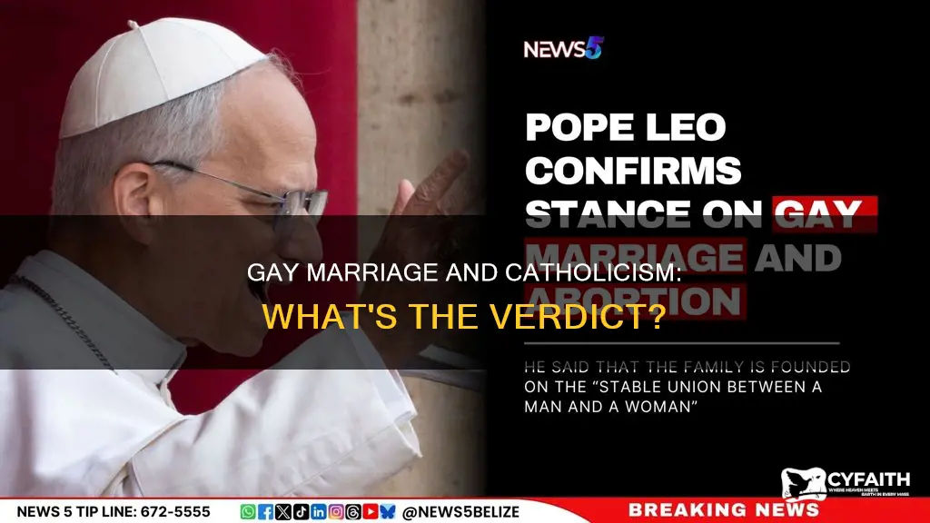 is gay marriage ok in catholic