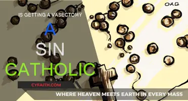 Vasectomy and Catholicism: Exploring the Sin Debate