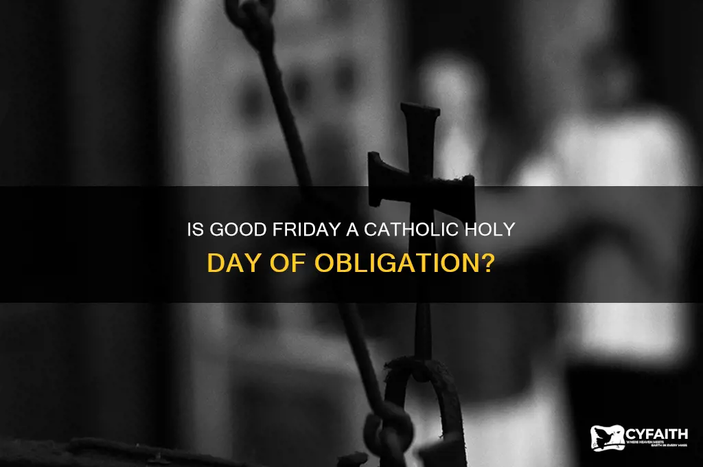 is good friday a catholic holy day of obligation