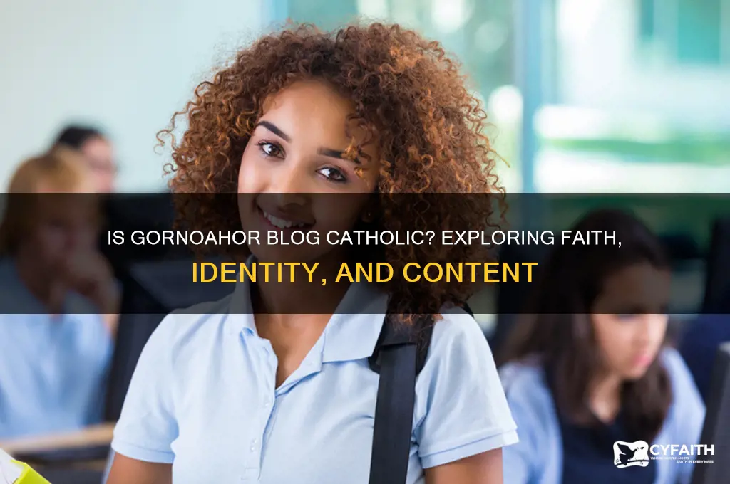 is gornoahor blog catholic