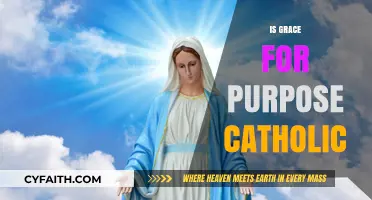 Is Grace for Purpose Catholic? Exploring Faith and Alignment