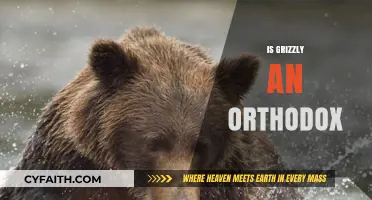 Is Grizzly an Orthodox Bear? Exploring the Myth and Reality