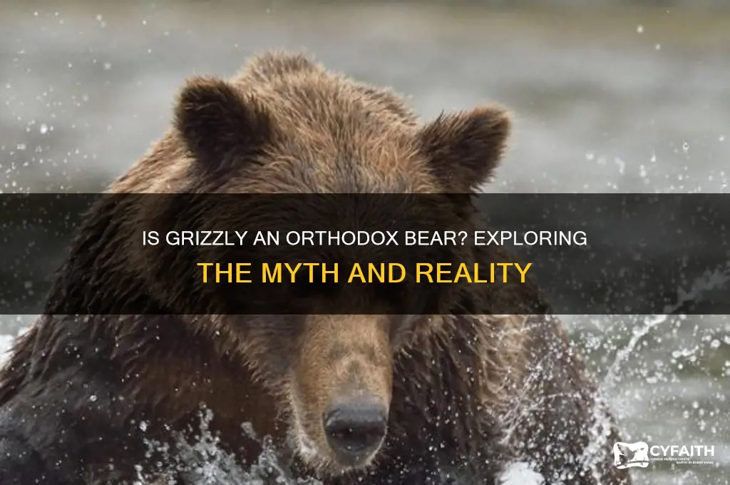 is grizzly an orthodox