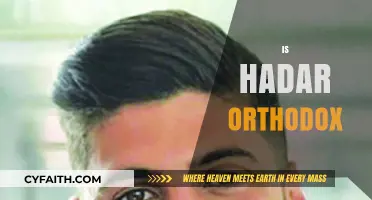 Is Hadar Orthodox? Exploring the Religious Identity and Practices