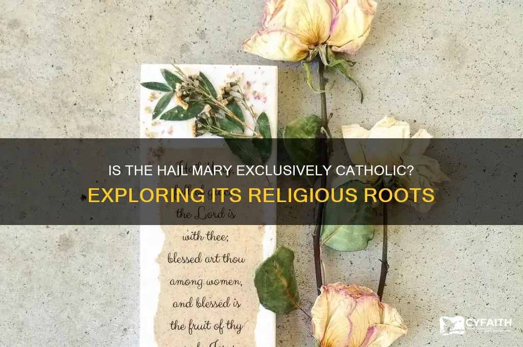is hail mary catholic