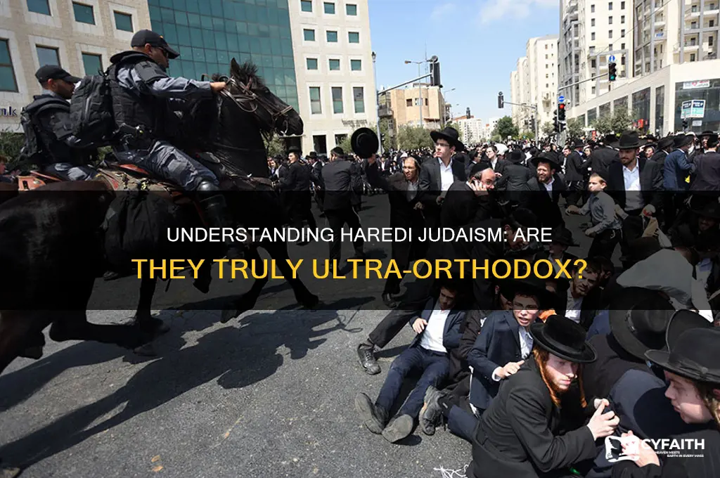 is haredi jews ultra orthodox