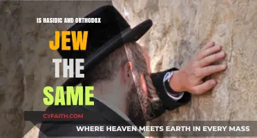 Hasidic vs. Orthodox Judaism: Understanding the Key Differences and Similarities