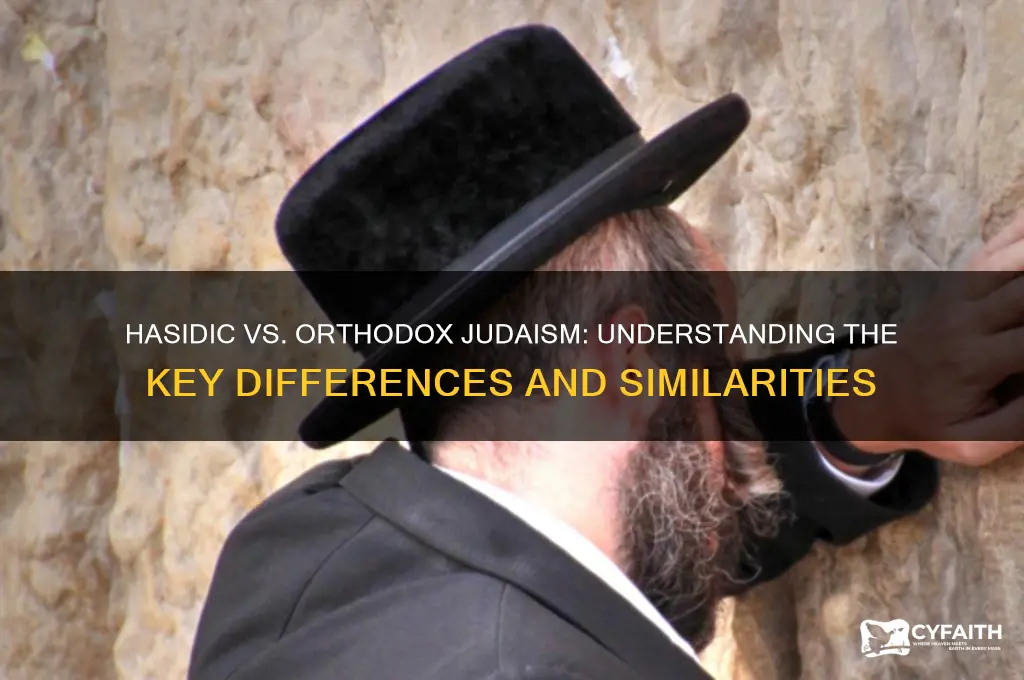 is hasidic and orthodox jew the same