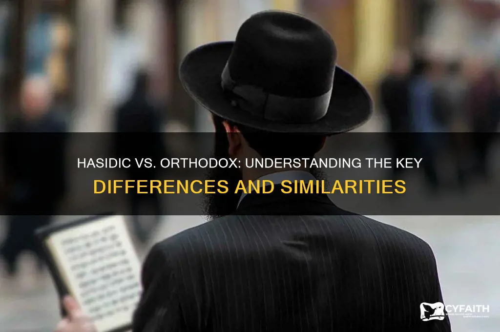 is hasidic the same as orthodox