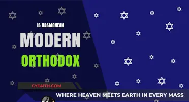 Exploring Hasmonean's Alignment with Modern Orthodox Judaism: A Contemporary Analysis