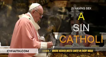 The Catholic Church's Stance on Sex