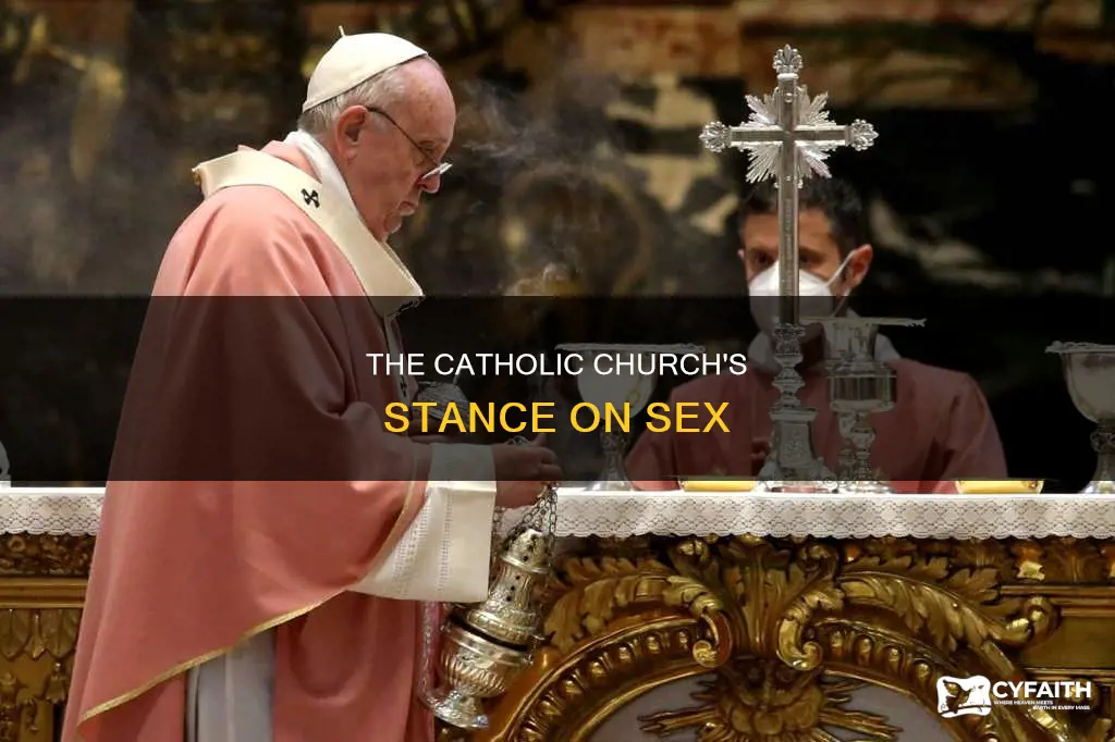 is having sex a sin catholic