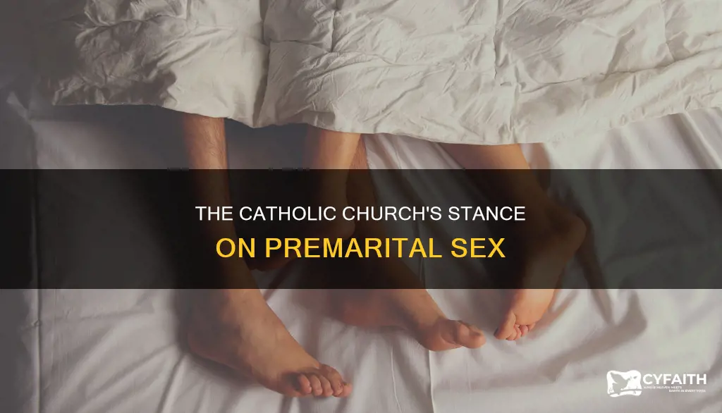 is having sex before marriage a sin catholic