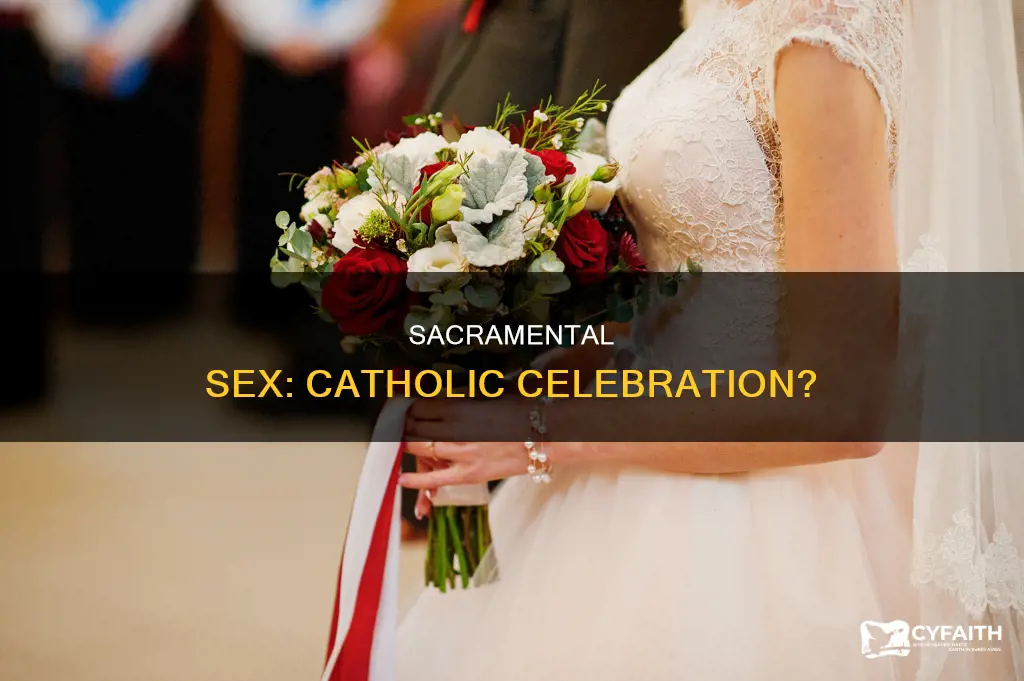 is having sex celebrating a sacrament catholic