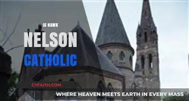 Is Hawk Nelson Catholic? Exploring the Band's Faith and Beliefs