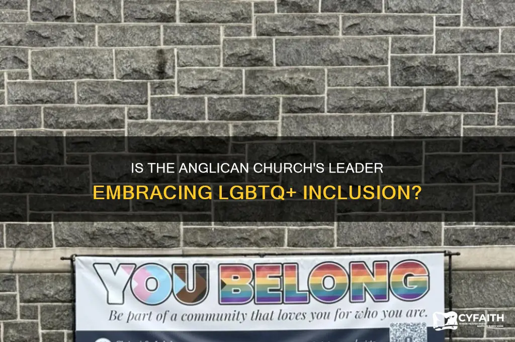 is head of the anglican church pro lgbtq