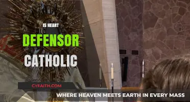 Is Heart Defensor Catholic? Exploring Faith and Identity in Public Life