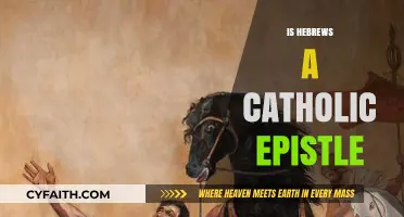 Is Hebrews a Catholic Epistle? Exploring Its Authorship and Audience