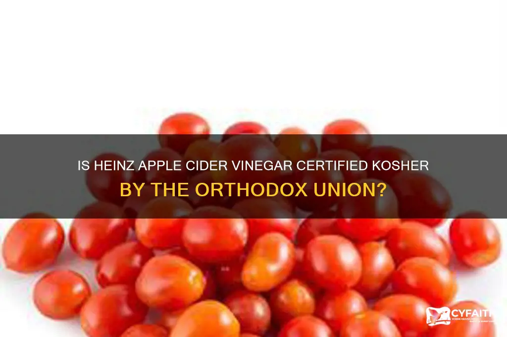 is heinz apple cider vinegar kosher orthodox union