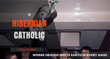 Is Hibernian FC Catholic? Exploring the Club's Historical and Cultural Roots